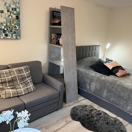 Alice Apartment Wackernheim 인겔하임암라인 외부 사진