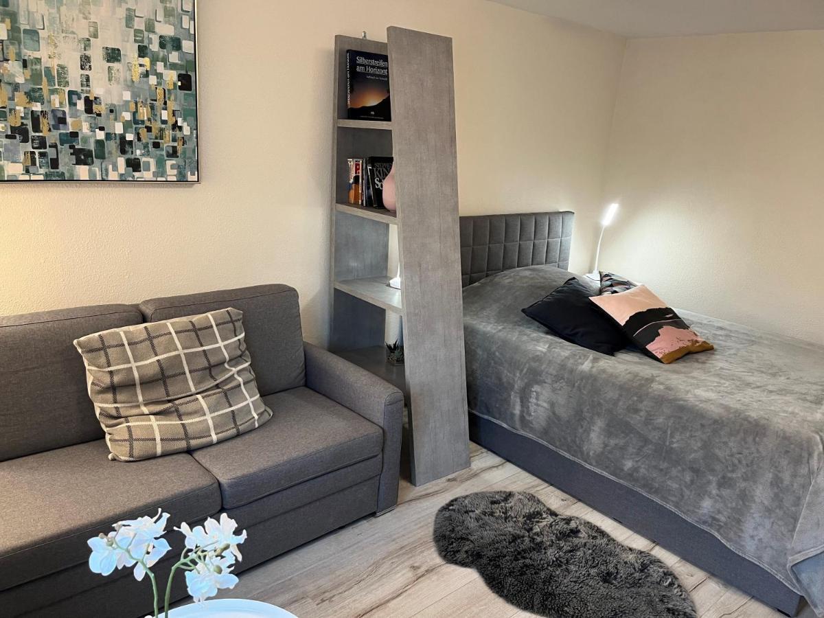 Alice Apartment Wackernheim 인겔하임암라인 외부 사진