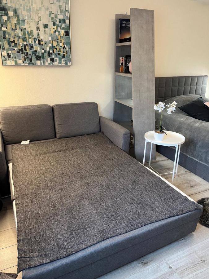 Alice Apartment Wackernheim 인겔하임암라인 외부 사진